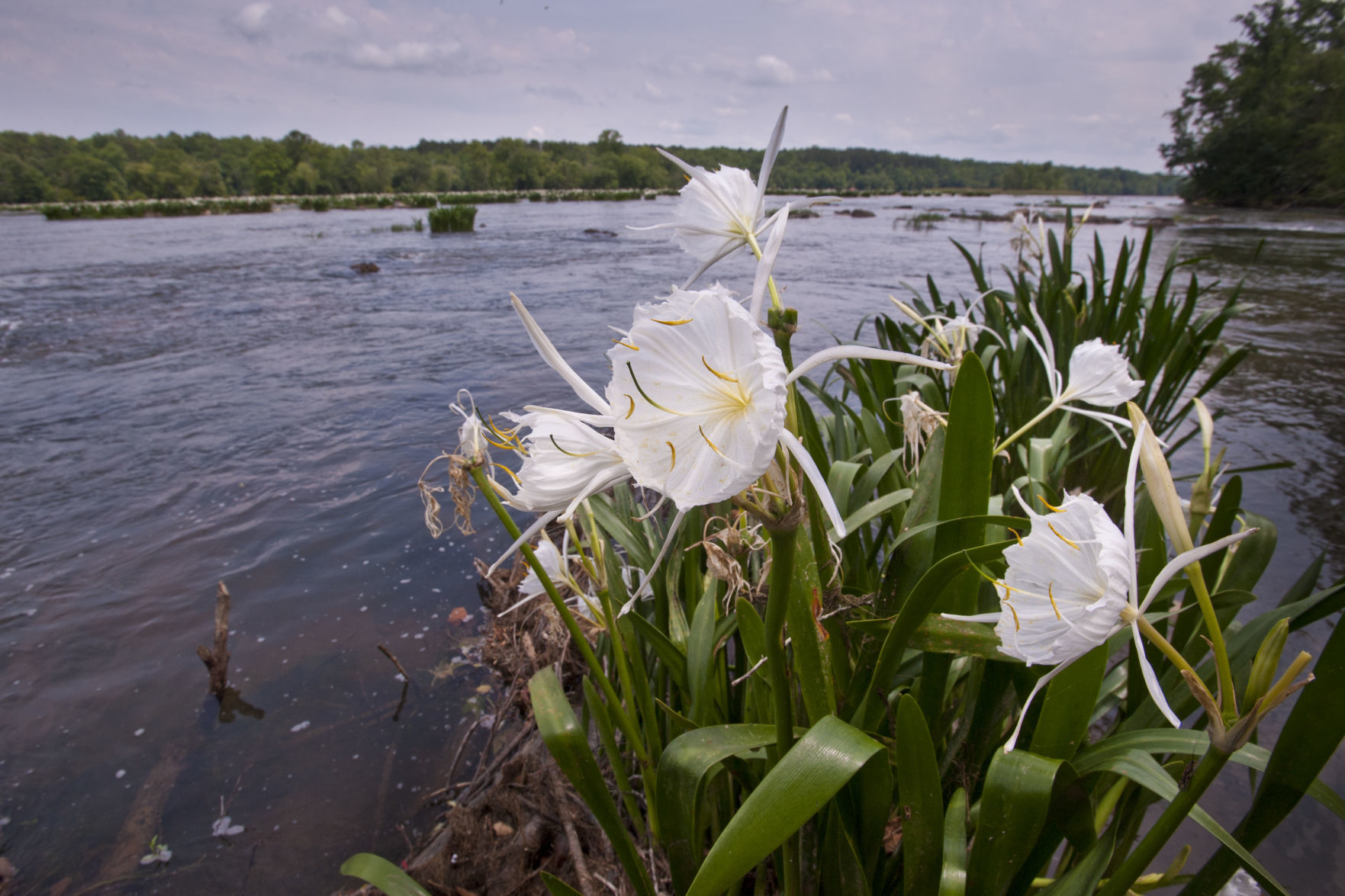 20190523_Landsford Canal State Park